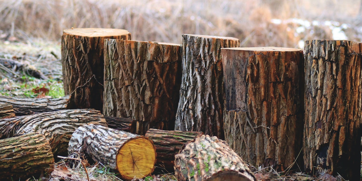 Are Lumber Prices Expected to Fall in 2022?